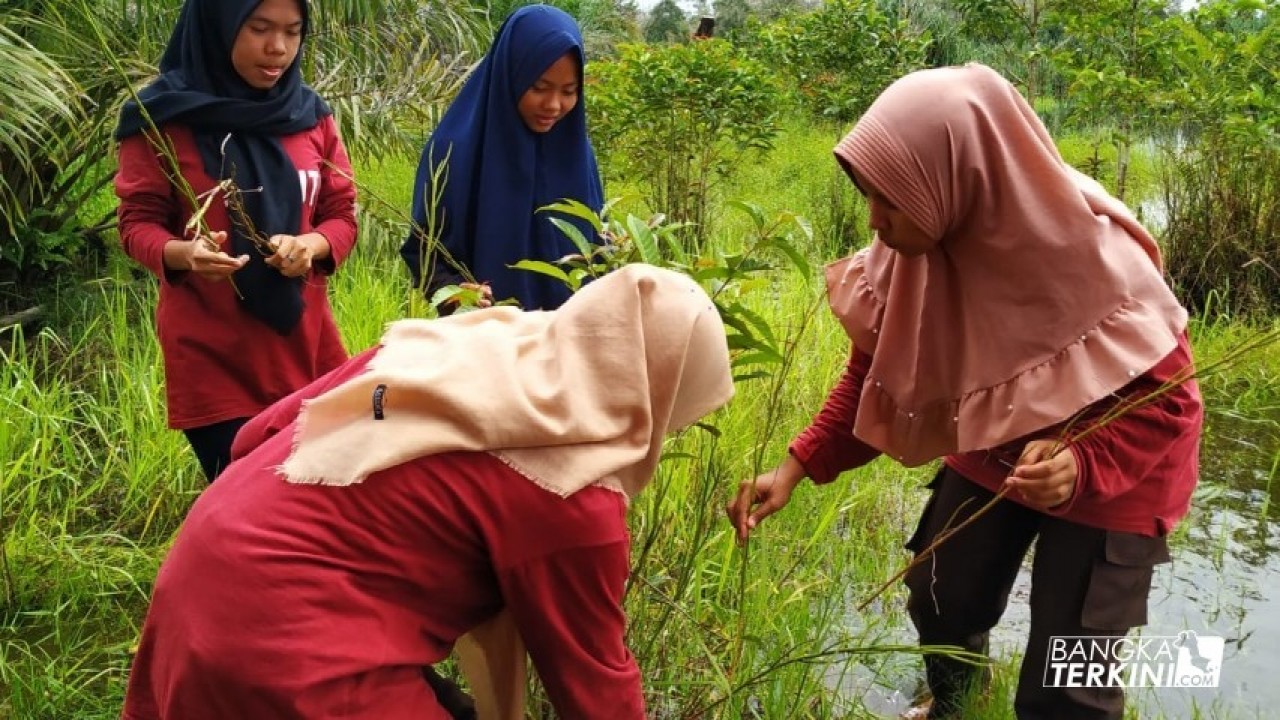 Siswa dari MTS Nurul Yaqin Tanah Bawah beserta Sahabat Alam (Salam) Sungai Upang dan Aktivis lingkungan Bangka Flora Society (BFS), menggelar aksi penanaman Anggrek Pensil (Papillionanthe hookeriana), di Sungai Upang Desa Tanah Bawah Kecamatan Puding Besar, Minggu (04/11/2018).