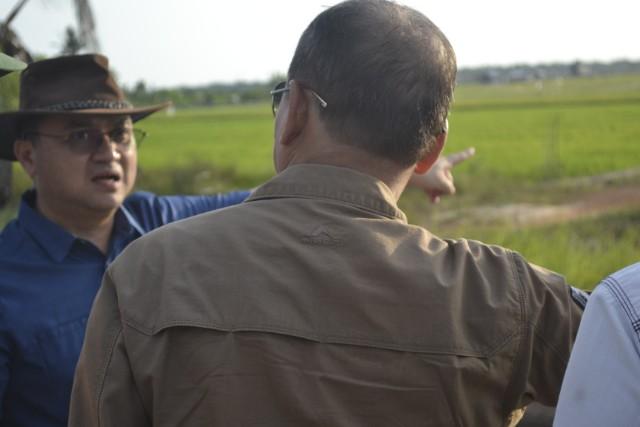 Erzaldi Dukung Peningkatan Lumbung Pangan di Bangka Selatan untuk Kesejahteraan Petani