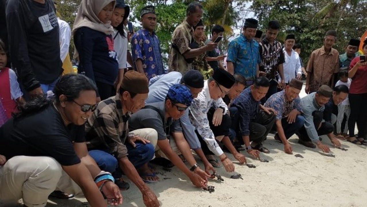 Pelepasan Tukik oleh peserta Jambore Nasional Relawan PRB di Belitung, Minggu (13/10/2019).