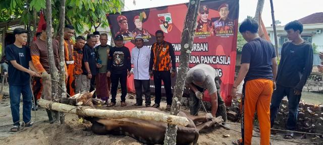 MPW Pemuda Pancasila Babel Gelar Qurban Idul Adha 2024