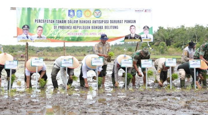 Pemprov Babel Lakukan Optimalisasi dan Pompanisasi Lahan