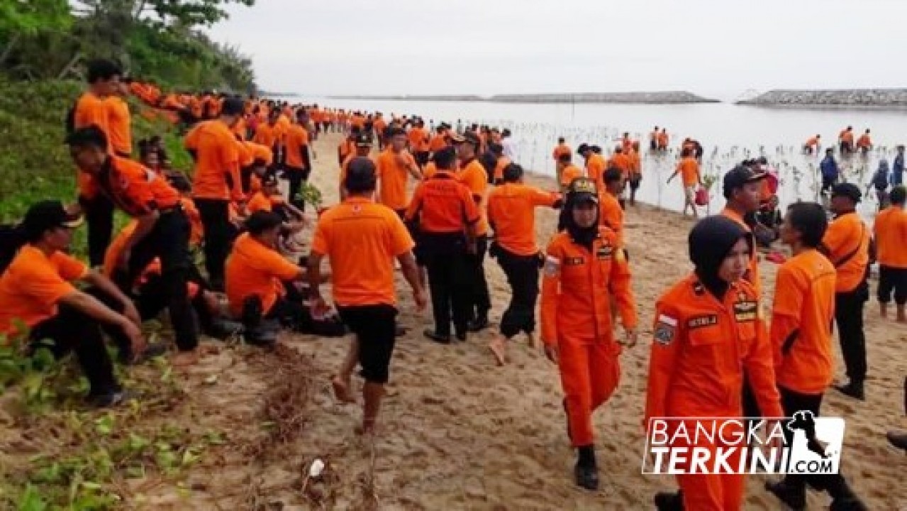 Badan Penanggulangan Bencana Daerah (BPBD) Bangka Belitung (Babel), menggelar penanaman 5000 pohon Mangrove bersama para relawan Penanggulangan Bencana, di Desa Penyak Kecamatan Koba, Kabupaten Bangka Tengah, Selasa (09/10/2018).