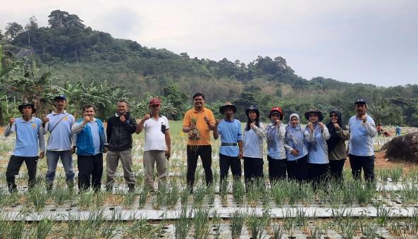 Petani Bersama Kades Perlang Panen Bawang Merah Mencapai 2 Ton