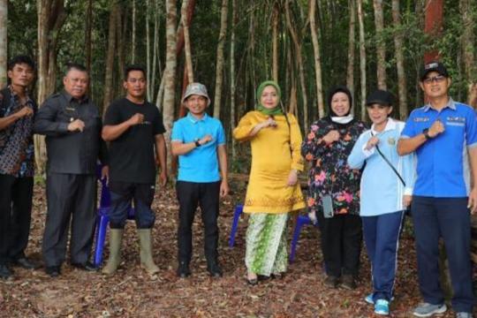 PJ Ketua Dekranasda Babel Kunjungi Hutan Pelawan Kawasan Geosite di Beltim