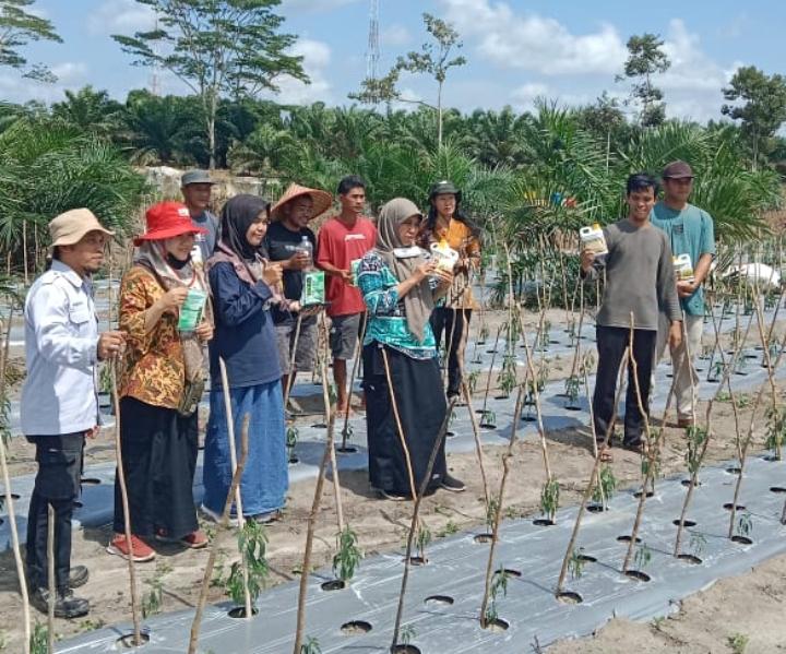 POPT Babel Lakukan Gerakan Pengendalian Organisme Penganggu Tanaman di Kulur, Bangka Tengah