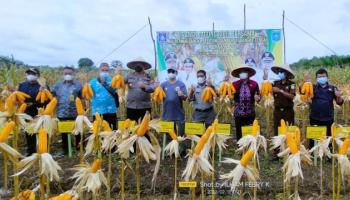 Penulis : Ilham, Bangka Tengah - Bupati Bangka Tengah Bersama,