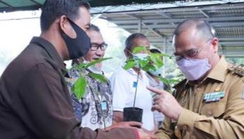 Bangka Belitung Terkini - Gubernur Erzaldi Serahkan 1.000 Bibit Alpukat,