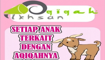 Aqiqah Bangka -- Aqiqah Ikhsan merupakan usaha jasa kambing aqiqah yang berlokasi di Pangkalpinang,