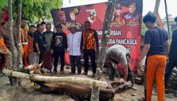 PANGKALPINANG, BANGKA TERKIN– Majelis Pimpinan Wilayah (MPW) Pemuda Pancasila (PP) Provinsi Kepulauan  Bangka  Belitung (Babel),