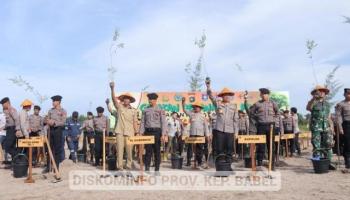 Sebanyak 167.104 Hektar Lahan Kritis di Kepulauan Bangka Belitung.