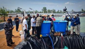 BANGKA BELITUNG TERKINI - BANGKA SELATAN - Tingkatkan Perekonomian di,